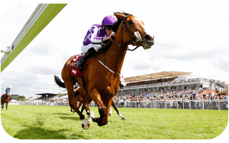 Dafabet247 login